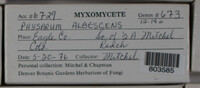 Image Associated With the Occurence